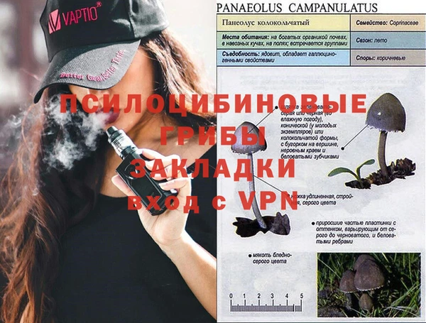ALPHA-PVP Алексин